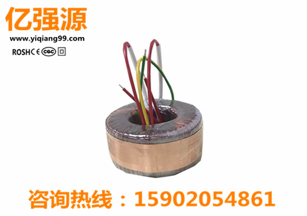 155W精密儀器環(huán)形變壓器